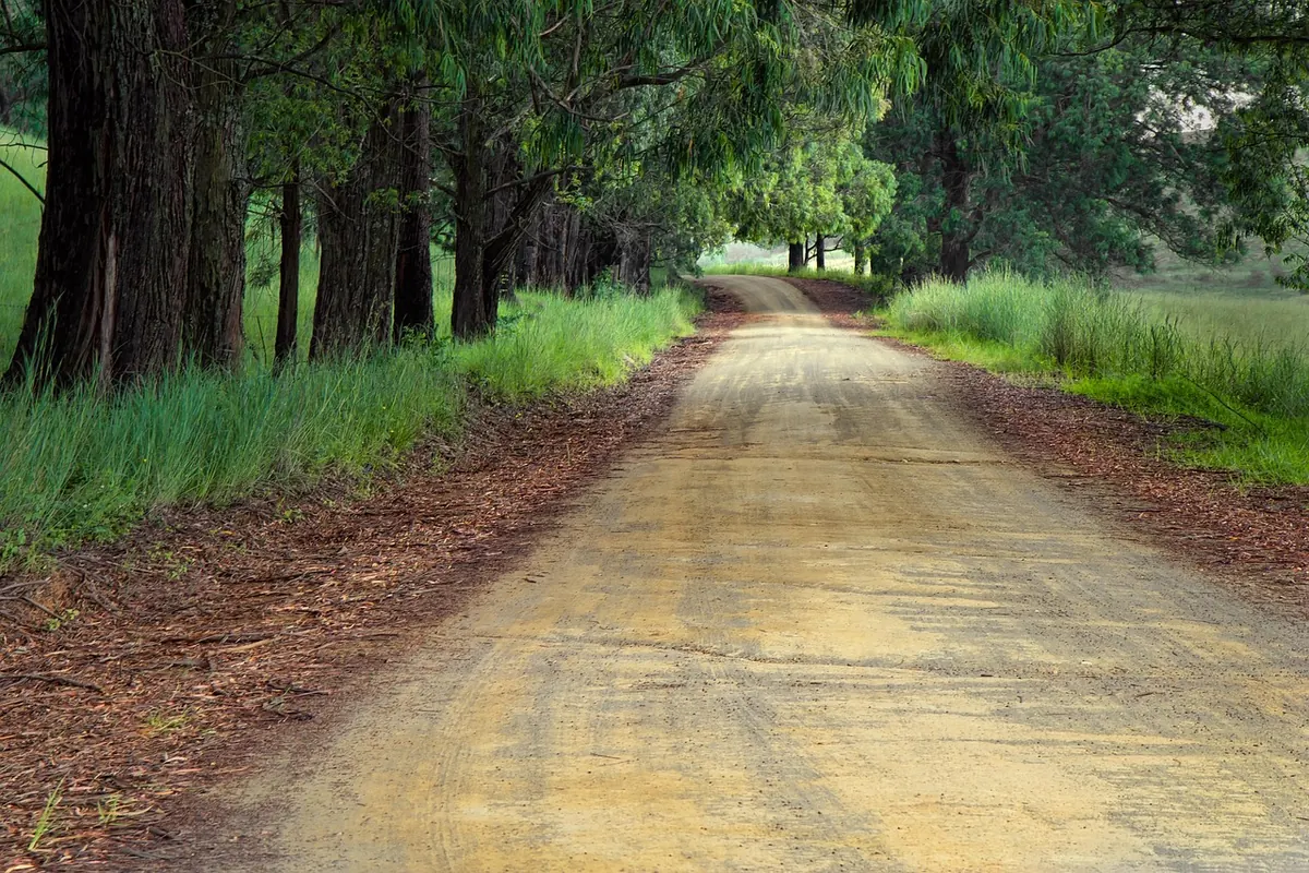 Weekend Road Trip: Scenic Routes That Avoid Motorways and Heavy Traffic